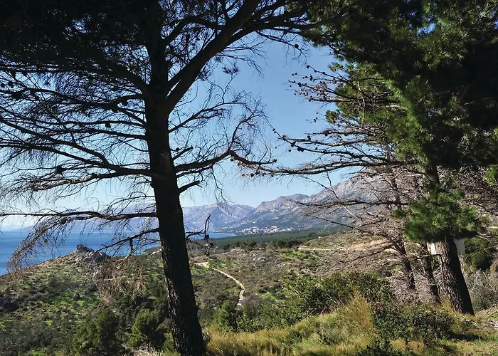 Vukovarska Iii Apartman *