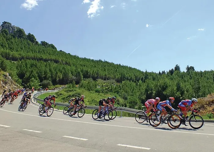 Vukovarska Iii Daire Makarska